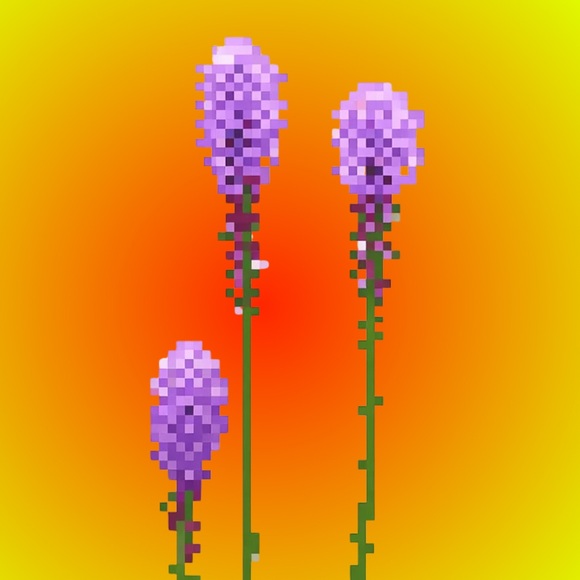 blazingstar3000